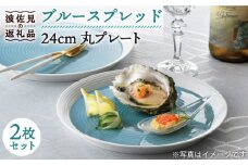 【波佐見焼】ブルースプレッド 24cm 丸皿 プレート 2枚セット 食器 皿 【一真窯】 [BB46]