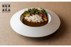 【波佐見焼】zen to 小宮山雄飛 カレー皿「zen to Y・K」2枚セット 食器 パスタ皿 【中善】 [YE03]