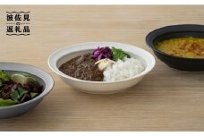 【波佐見焼】zen to 辰野 しずか カレー皿「co-mu」3色セット【中善】 パスタ皿 食器 [YE06]