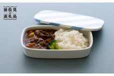 【波佐見焼】zen to 清水 久和 カレー皿「機内食の皿」グリーン 食器 陶器 【中善】 [YE16]
