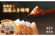 【春限定！ご飯のお供 万能調味料】国産 ふき味噌 10個セット【野下上絵】 [LE09]