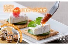 【春限定！大人気 万能調味料と夢のコラボ！】国産 にんにく味噌・ふき味噌 10個セット【野下上絵】 [LE10]