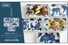 【波佐見焼】染付古波佐見 長角皿 5柄セット 食器 皿 【natural69】 [QA114]