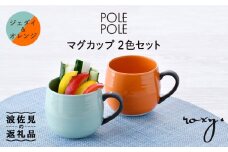【波佐見焼】マグカップ 2色セット （ジェダイ＆オレンジ） 食器 皿 【ROXY・HASAMI】 [SB139]