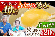【全6回定期便】【栄養満点！】アルギニン元気たまご 20個×6回お届け 定期便 （月1回） 自然栽培 たまご 卵 【浅田峠自然塾】 [EA16]