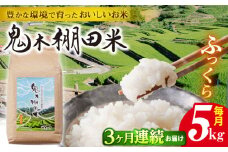 【先行予約 令和7年度新米】【全3回定期便】鬼木 棚田米 5kg 鬼木の棚田 米【原田製茶】 [GA18]