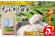 【先行予約 令和7年度新米】【全12回定期便】鬼木 棚田米 5kg 鬼木の棚田 米【原田製茶】 [GA20]