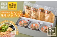 【全3回定期便】にんにく味噌 にんにくチップ フレーク 詰め合わせセット 万能調味料 国産【野下上絵】 [LE15]