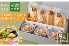 【全12回定期便】にんにく味噌 にんにくチップ フレーク 詰め合わせセット 万能調味料 国産【野下上絵】 [LE17]