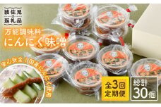 【全3回定期便】にんにく味噌 10個セット 国産【万能調味料】【野下上絵】 [LE18]
