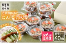 【全6回定期便】にんにく味噌 10個セット 国産【万能調味料】【野下上絵】 [LE19]