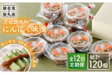 【全12回定期便】にんにく味噌 10個セット 国産【万能調味料】【野下上絵】 [LE20]