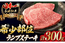 ランプ ステーキ 2枚 300g 長崎和牛【野中精肉店】 [VF03] 肉 牛肉 赤身 希少部位 A4～A5ランク ランプステーキ 焼肉