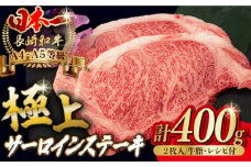 サーロイン ステーキ 2枚 400g 長崎和牛 A4～A5ランク 希少部位【野中精肉店】 [VF04] 肉 牛肉 サーロインステーキ 焼肉