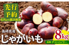 【先行予約！6月より順次発送】デストロイヤー 8kg 長崎県産 波佐見育ち じゃがいも グラウンドペチカ【二ッ岳水の本園】 [RF01]