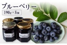 ブルーベリー ジャム 190g×5個【青空農園】 [DG01] ジャム ブルーベリージャム ブルーベリー じゃむ パン 朝食 食パン