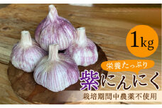 香り高い！栽培期間中農薬不使用！紫にんにく 1kg 野菜 薬味 ニンニク 【浅田峠自然塾】 [EA17] にんにく ニンニク 栽培期間中 農薬不使用 にんにく