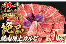 焼肉 上カルビ 1kg （500g×2） 長崎和牛 A4～A5ランク 【野中精肉店】 [VF45] 肉 牛肉 カルビ 焼き肉 キャンプ BBQ バーベキュー
