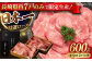 特選ロース すき焼き用 長崎和牛 出島ばらいろ 計600g 肉 牛肉 ロース スライス しゃぶしゃぶ すき焼き 赤身
