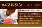 【12回定期便】【日本一の和牛】牛肉 切り落とし 長崎和牛