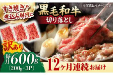 【第12回定期便】【訳あり】 切り落とし 600g 長崎和牛 黒毛和牛  【夢ファームシュシュ】 [WF37] 肉 牛肉 しゃぶしゃぶ すき焼き 訳アリ ワケあり 定期便