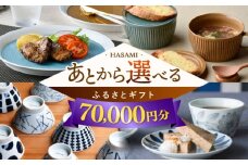 【あとから選べる】波佐見町ふるさとギフト 7万円分 波佐見焼 和牛 米 年内発送 年内配送 [FB80] あとから寄附 あとからギフト あとからセレクト 選べる寄付 選べるギフト あとから選べる 日用品 選べる波佐見焼 7万円 70000円