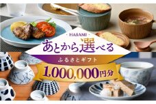 【あとから選べる】波佐見町ふるさとギフト 100万円分 波佐見焼 和牛 米 [FB85] あとから寄附 あとからギフト あとからセレクト 選べる寄付 選べるギフト あとから選べる 日用品 選べる波佐見焼 100万円 1000000円