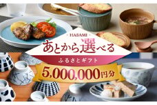 【あとから選べる】波佐見町ふるさとギフト 500万円分 波佐見焼 和牛 米 年内発送 年内配送 [FB90] あとから寄附 あとからギフト あとからセレクト 選べる寄付 選べるギフト あとから選べる 日用品 選べる波佐見焼 500万円 5000000円