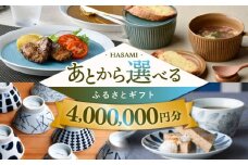 【あとから選べる】波佐見町ふるさとギフト 400万円分 波佐見焼 和牛 米 年内発送 年内配送 [FB89] あとから寄附 あとからギフト あとからセレクト 選べる寄付 選べるギフト あとから選べる 日用品 選べる波佐見焼 400万円 4000000円