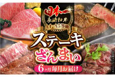 【全6回定期便】 長崎和牛 ステーキざんまいコース 総計2.5kg / モモ リブロース イチボ サーロイン ランプ ヒレ / 肉 牛肉 ステーキ 焼肉 / 波佐見町 / 野中精肉店 [VF81]