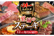 【全12回定期便】 長崎和牛 ステーキ至福コース 総計7.1kg / モモ リブロース イチボ サーロイン ランプ ヒレ レモンステーキ / 肉 牛肉 ステーキ 焼肉 / 波佐見町 / 野中精肉店 [VF82]