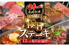 【全12回定期便】 長崎和牛 ステーキ極旨コース 総計23.4kg / モモ リブロース イチボ サーロイン ランプ ヒレ レモンステーキ / 肉 牛肉 ステーキ 焼肉 / 波佐見町 / 野中精肉店 [VF84]