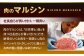 【12回定期便】ヒレ・サーロイン ステーキ2種食べ比べセット 長崎和牛