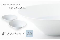 【波佐見焼】【essence】ボウル 2点セット agasuke【西海陶器】 [OA301]