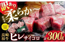【訳あり】長崎和牛 ヒレ サイコロステーキ 計300g以上【肉のマルシン】 [FG46] 牛肉 希少部位 ヒレ 和牛ステーキ ヒレステーキ サイコロステーキ ひれ 長崎和牛 牛肉 サイコロステーキ