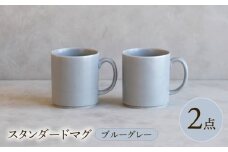 【波佐見焼】 スタンダードマグ ブルーグレー 2点セット 【西海陶器】 [OA403]