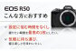 キャノン ミラーレス カメラ Canon 一眼 EOS R55