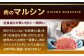 【全6回定期便】【極厚】厚切りヒレステーキ 長崎和牛 計400g以上（約200g×2枚） ステーキ
