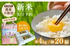 【先行予約】令和7年度新米4kg・放し飼いたまご20個セット ヒノヒカリれんげ米 元気たまご【浅田峠自然塾】 [EA19]