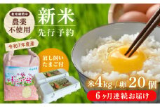 【先行予約】【全6回定期便】令和7年度新米4kg・放し飼いたまご20個セット ヒノヒカリれんげ米 元気たまご【浅田峠自然塾】 [EA21]