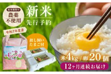 【先行予約】【全12回定期便】令和7年度新米4kg・放し飼いたまご20個セット ヒノヒカリれんげ米 元気たまご【浅田峠自然塾】 [EA22]