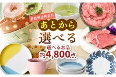 あとからセレクト 波佐見町ふるさとギフト 50万円分 あとから選べる カタログギフト [FB107]