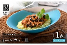 【波佐見焼】Scenery（シーナリー）トルコブルー オーバルカレー皿 1点　【光春窯】 [XD116]