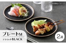 【波佐見焼】テラコッタ・BLACK プレートM 2枚セット【利左エ門窯】 [QB66]