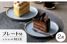 【波佐見焼】テラコッタ・BLUE プレートM 2枚セット【利左エ門窯】 [QB67]