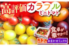 【おまかせMIX】カラフルミニトマト 約1.2kg ミニトマト プチトマト 野菜 トマト とまと ミニトマト カラフル ミニトマト 甘い 小値賀町 りんたろうふぁ～む [DAE002] 1万円 以上