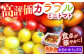 おまかせMIX カラフル ミニトマト 約1.2kg