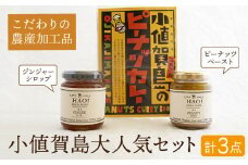 落花生と生姜の 加工品 3点 セット （ ピーナッツ カレー / ピーナッツペースト / ジンジャーシロップ ） ＜小値賀町担い手公社＞ [DAA005] ピーナッツバター ジャム スパイスカレー スパイス 時短 簡単 ジンジャー 生姜 常温 1万円 以上