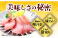 12回定期便 海鮮丼とけたらとれたて