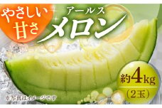 ＜先行予約＞アールスメロン 約4kg（2玉）メロン めろん 青肉 甘い フルーツ 果物 くだもの デザート 贈答 ギフト プレゼント 産直 産地直送 8月初旬順次発送 メロン 2玉 [DAT002]